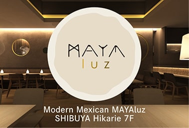 Modern Mexican MAYAluz